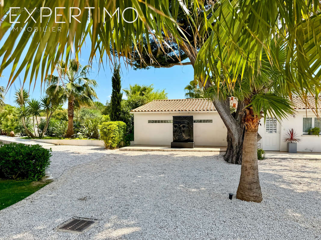 Propriété de 457 m2 + Piscine avec Pool House + 4 garages sur 5500 m2. - photo 4
