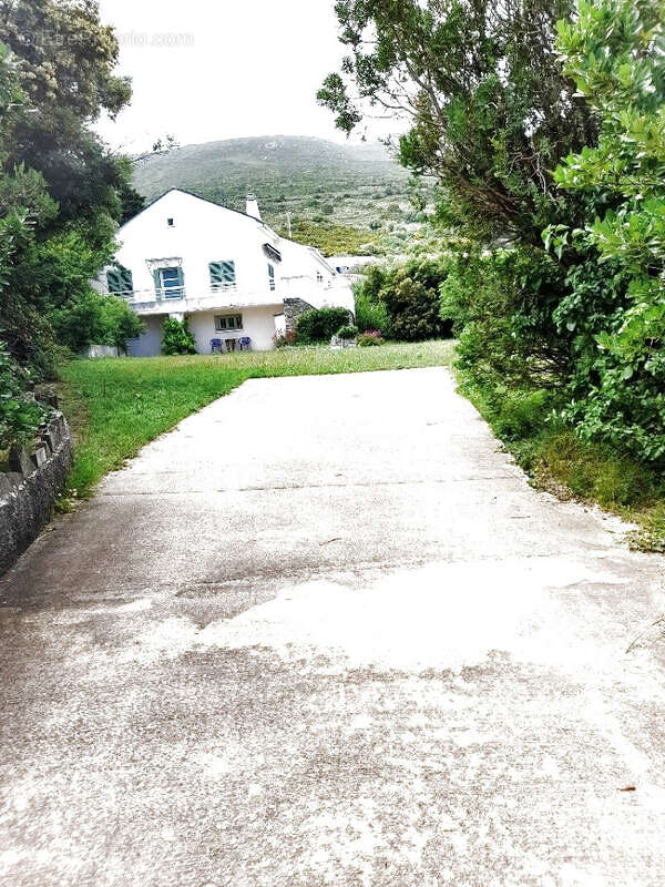 Maison à BRANDO