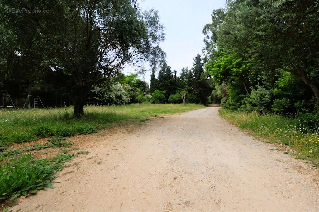 Exclusivité - MAUGUIO - Aux portes de Montpellier PROPRIETE rurale 5300m2 de terrain 2 logements 180m2 + appartement 60m2 - photo 2