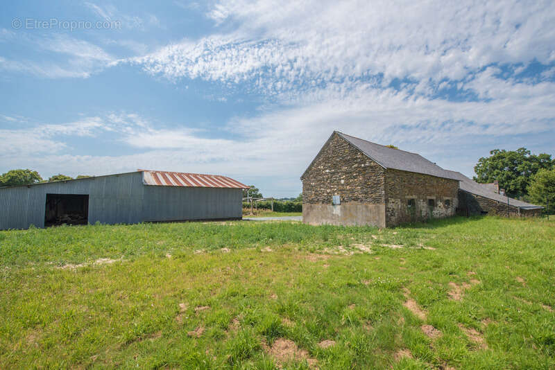 Ensemble en pierre à rénover – 340 m² de potentiel habitable – Hangar 223 m² – Terrain 3 109 m² - photo 7