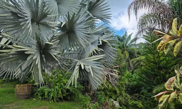 Maison à BAIE-MAHAULT