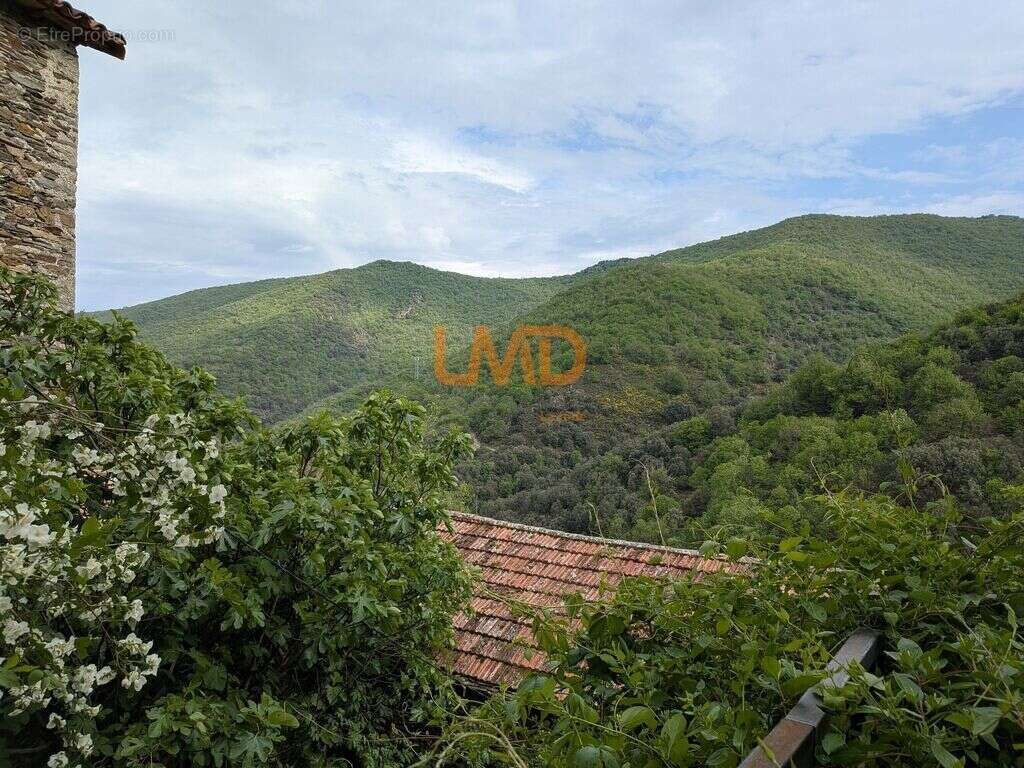 Maison de caractère au cœur des Cévennes - photo 16