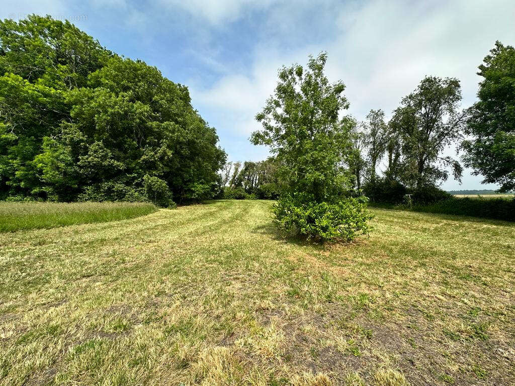 Maison à SAINT-DIZANT-DU-BOIS