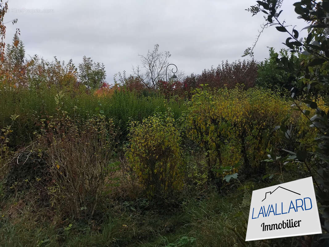 Maison à TOUTENCOURT