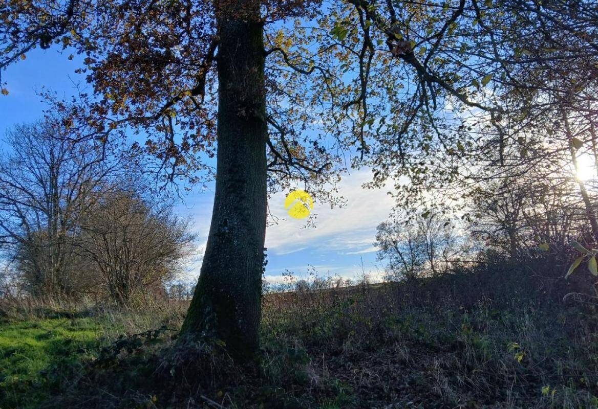Terrain à ARPHEUILLES-SAINT-PRIEST