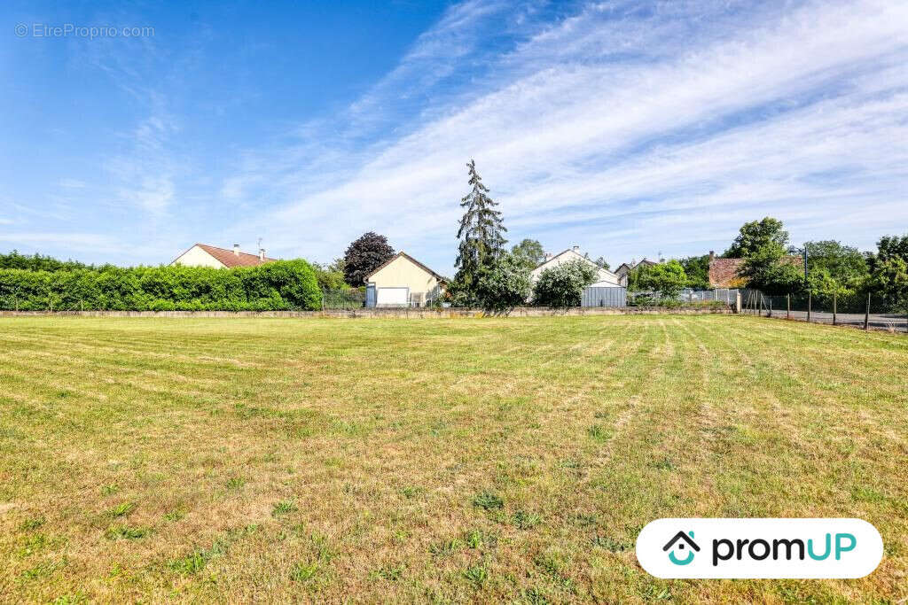 Terrain à MONCE-EN-BELIN