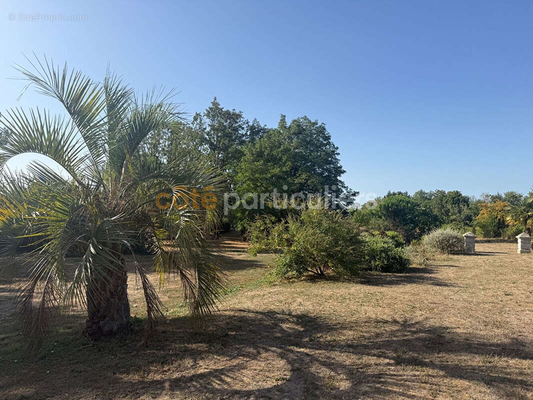 Maison - 2 chambres - Lairoux - photo 7
