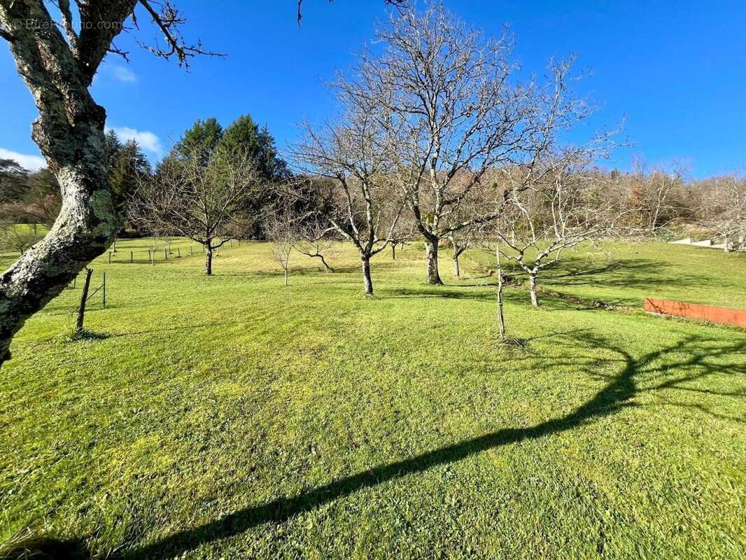 Photo 7 - Maison à PORT-LESNEY