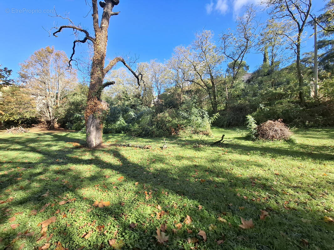 Terrain à SAINT-CLAIR-DU-RHONE