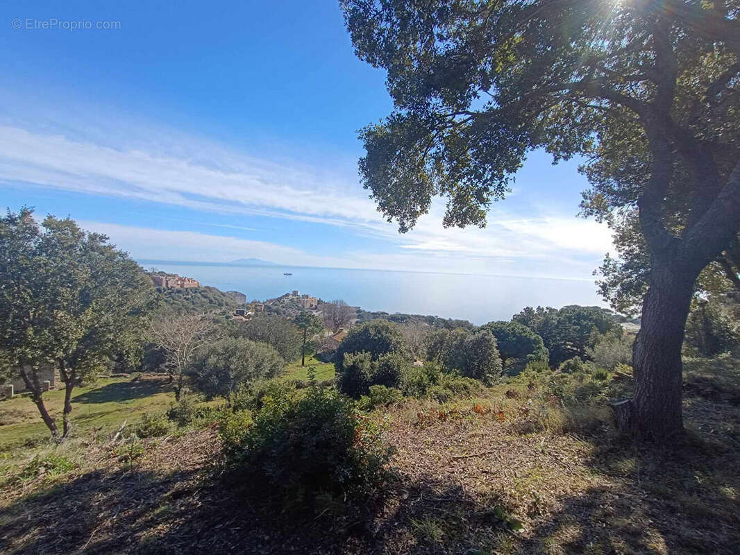 Terrain à BASTIA
