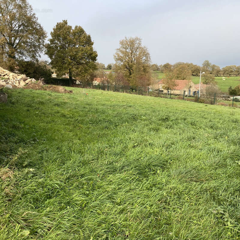 Terrain à MORTAGNE-SUR-SEVRE