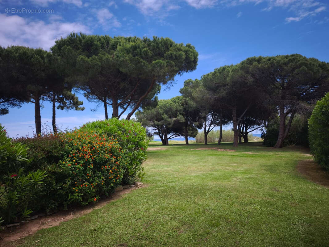 Appartement T3 48m2 Résidence Bord de mer - Poggio Mezzana - photo 16