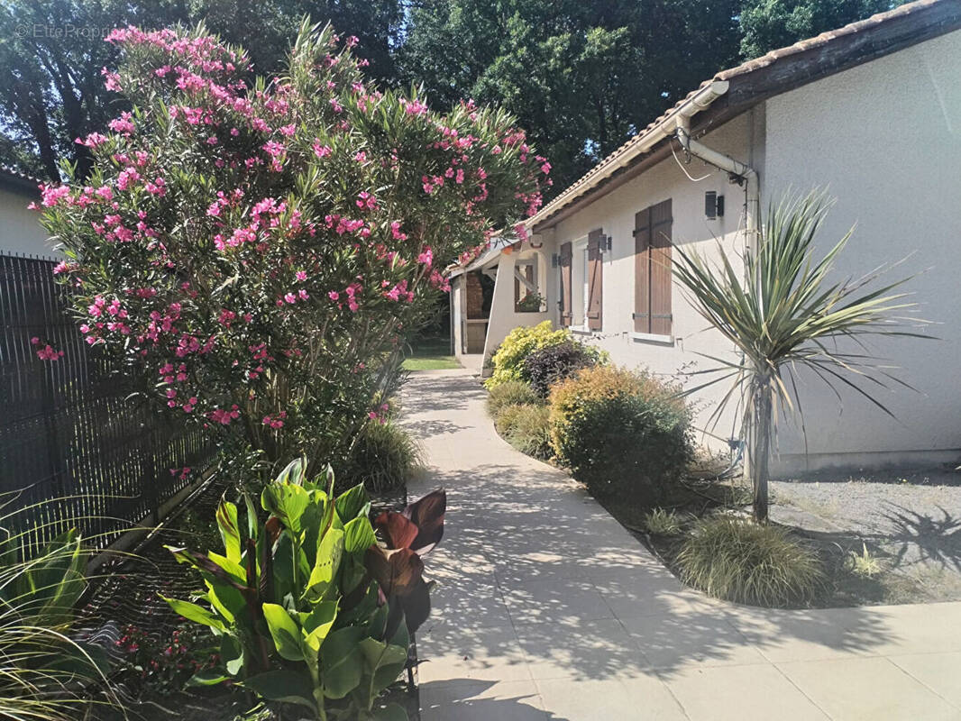 Maison à BIGANOS