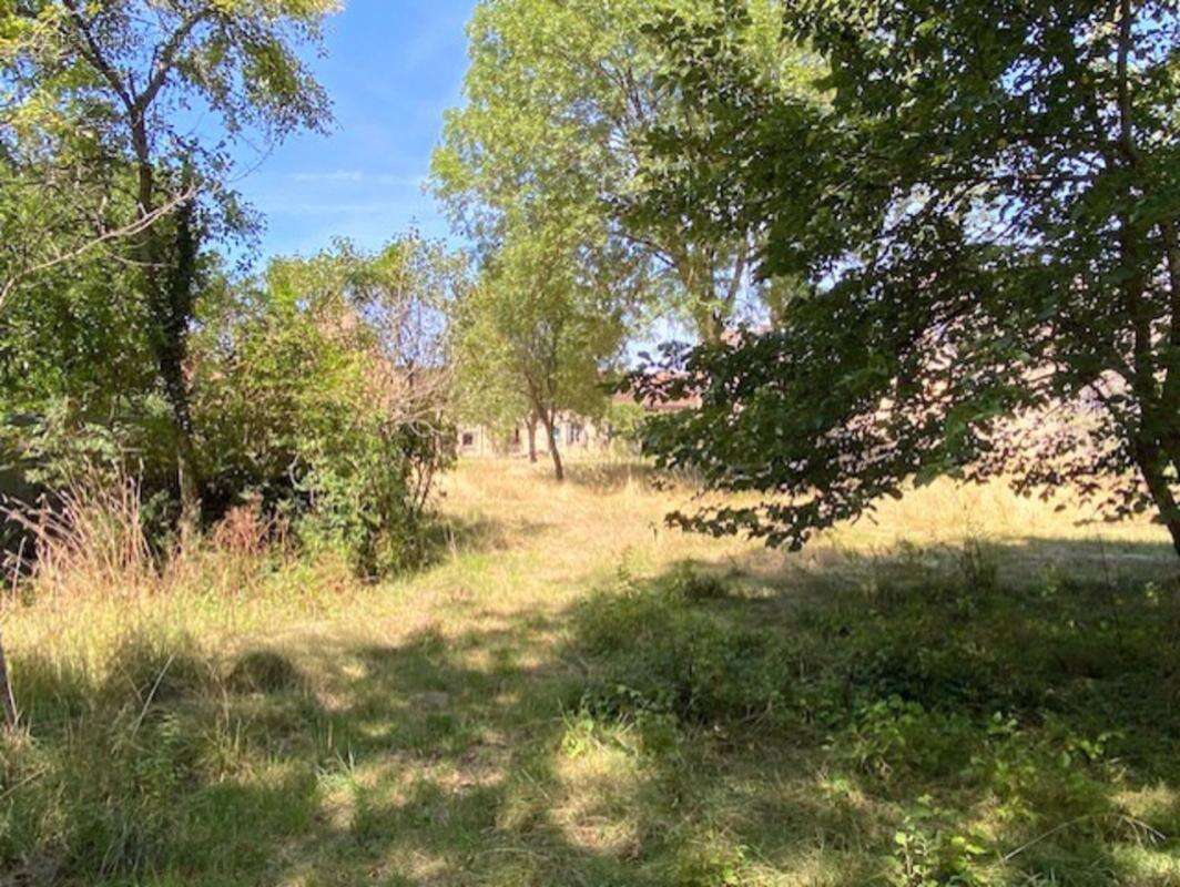 Propriete à vendre 4 pièces Proche de CERISIERS (89) - photo 3