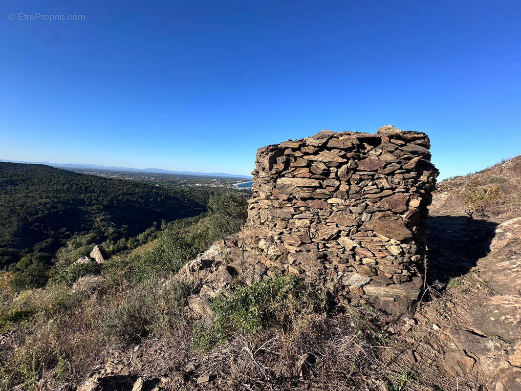 Terrain à COLLIOURE