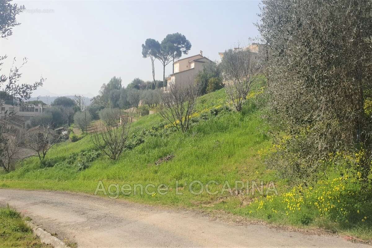 Terrain à LE CANNET