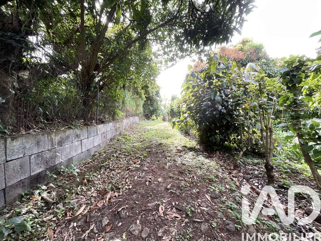 Photo 3 - Terrain à LE MORNE-VERT