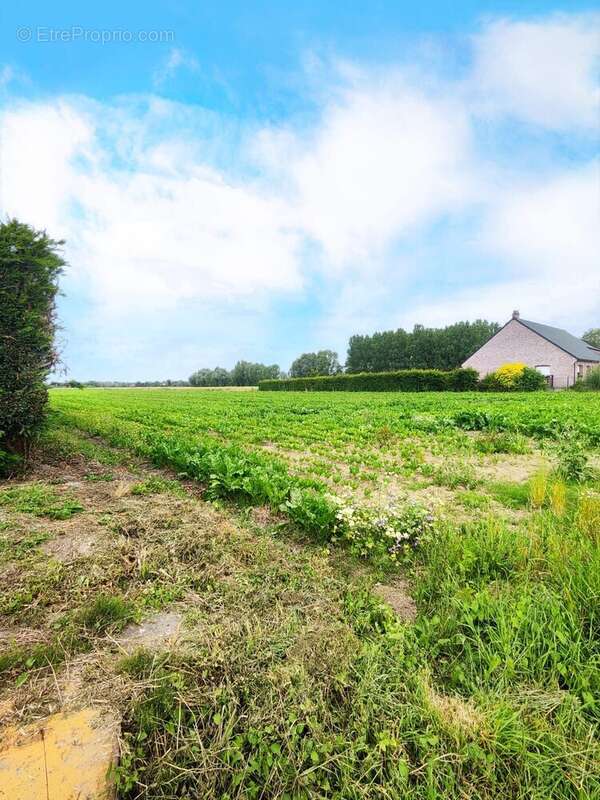 Terrain à AIRE-SUR-LA-LYS