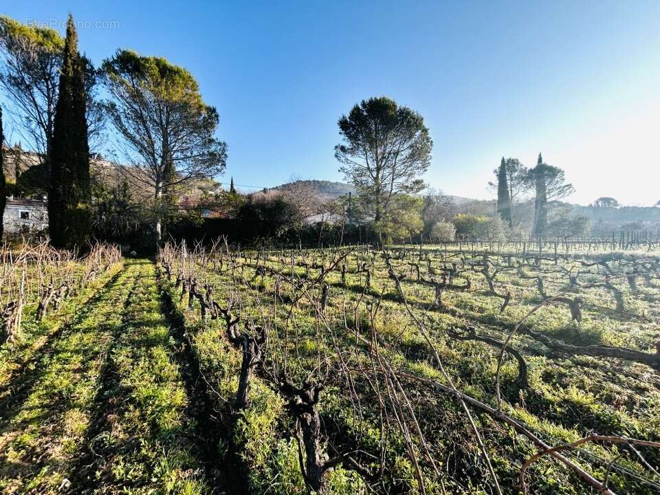 Terrain à DRAGUIGNAN