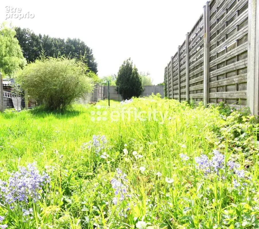 Divers maison - photo 14