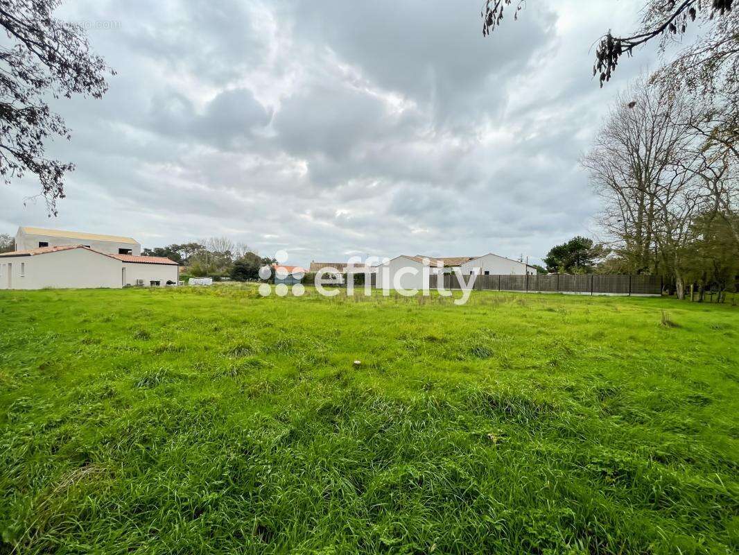 Terrain à SAINT-JEAN-DE-MONTS