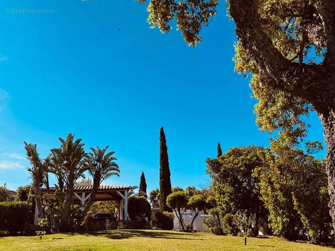 Maison à ZONZA