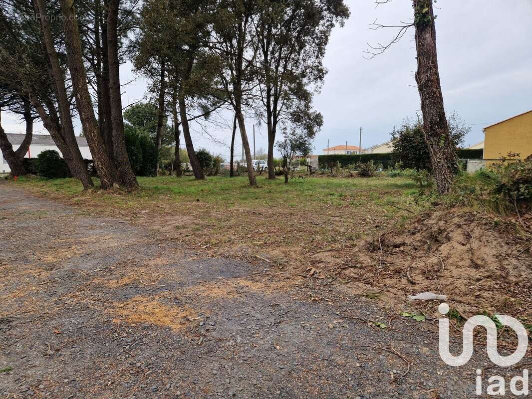 Photo 2 - Terrain à SAINT-HILAIRE-DE-RIEZ