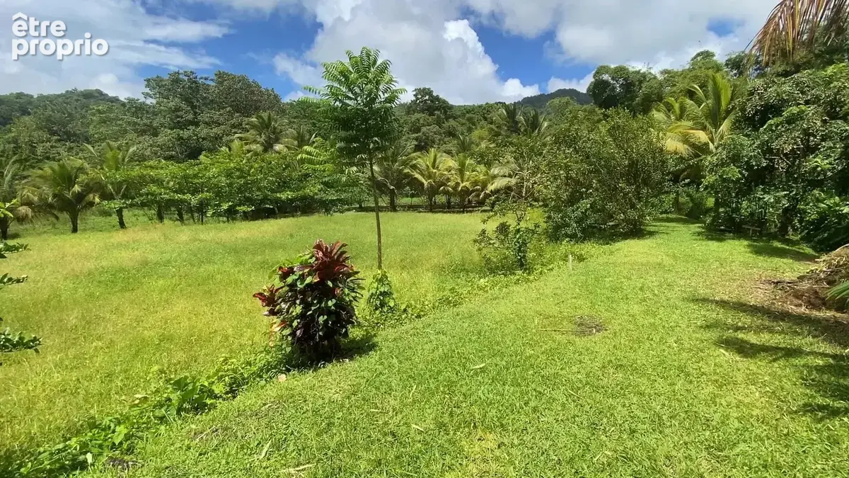 Grande propriété – Le Morne-Rouge - photo 3