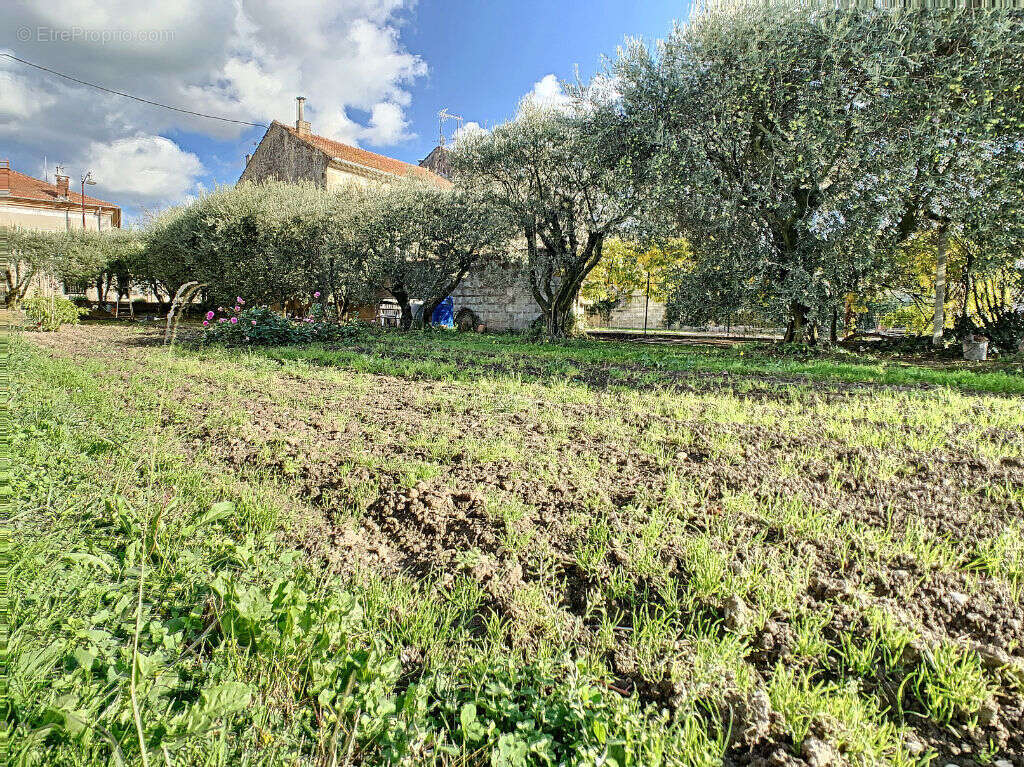 Terrain à CHEVAL-BLANC