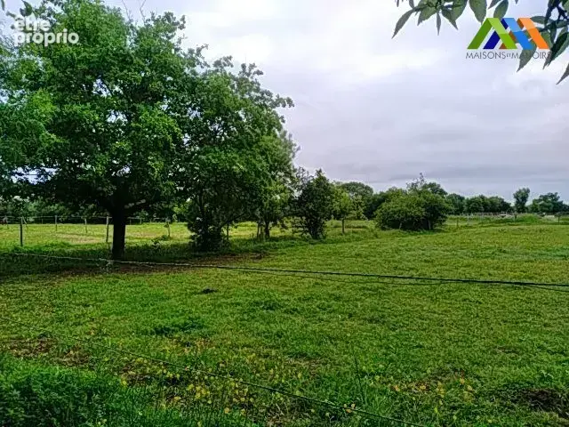 Prairie