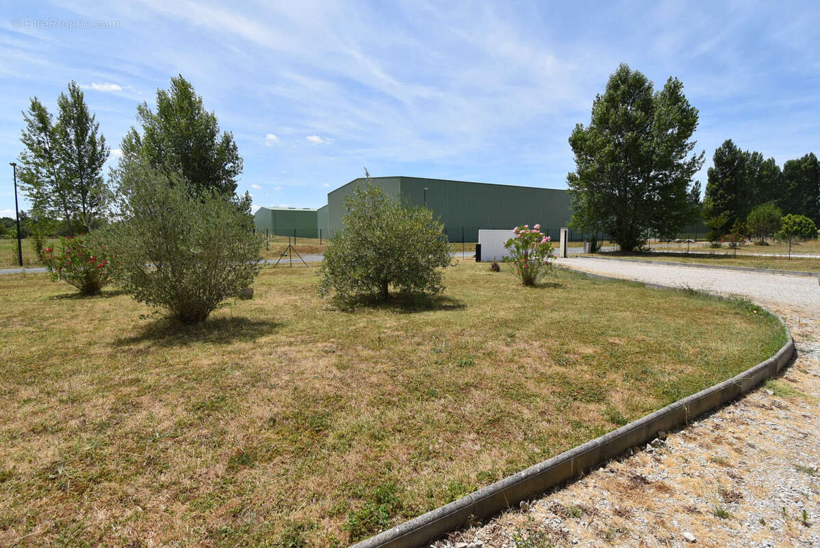 Revel (31250) - maison de 160m2 - zone artisanale - photo 10