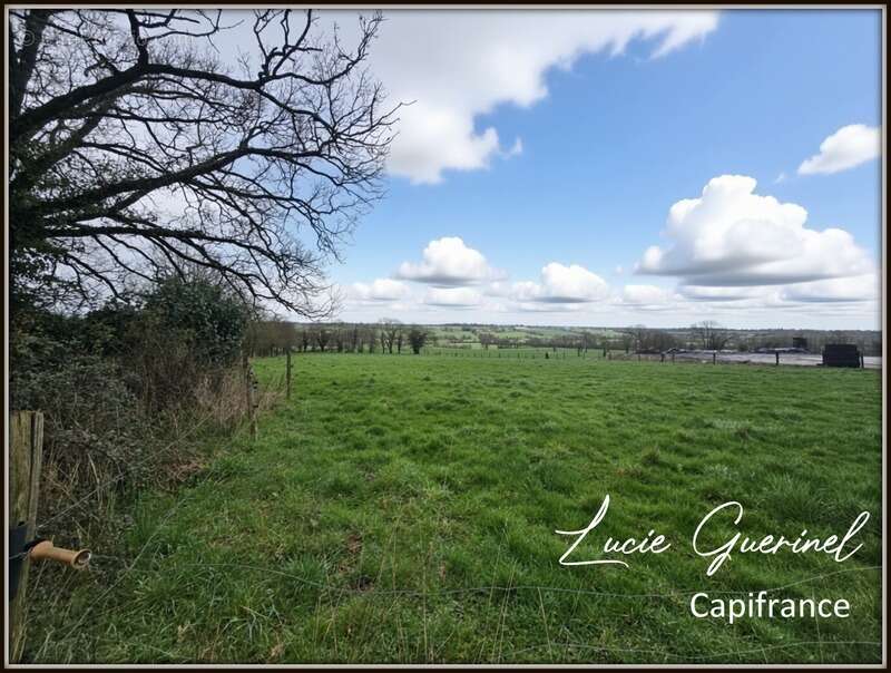 Maison à MARTIGNE-FERCHAUD
