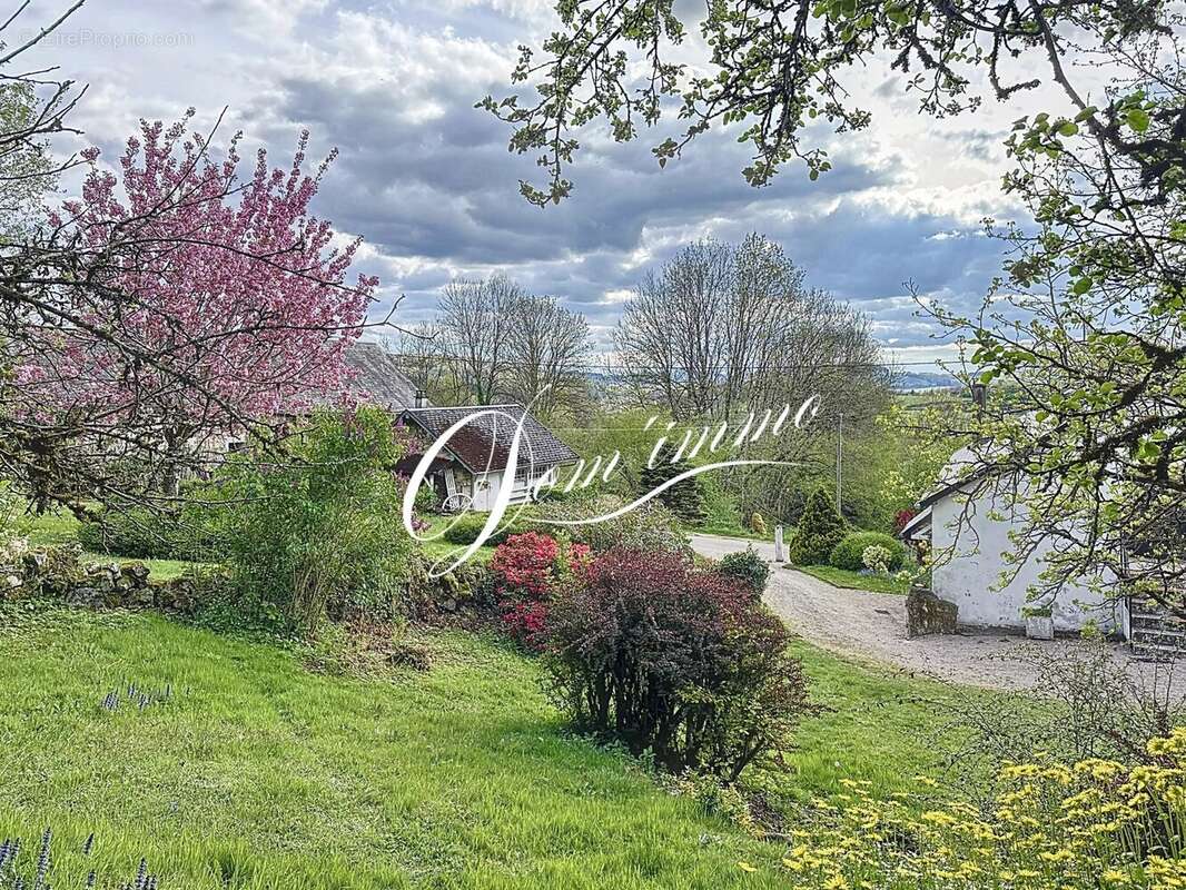 Maison à MONTSAUCHE-LES-SETTONS