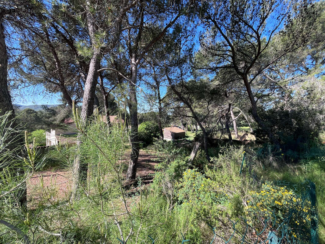 Terrain à VENTABREN