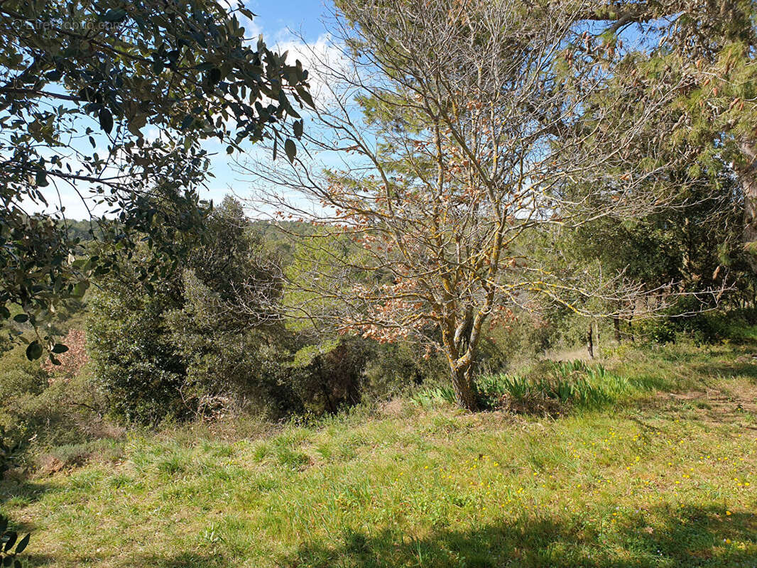 Maison à VILLEGAILHENC