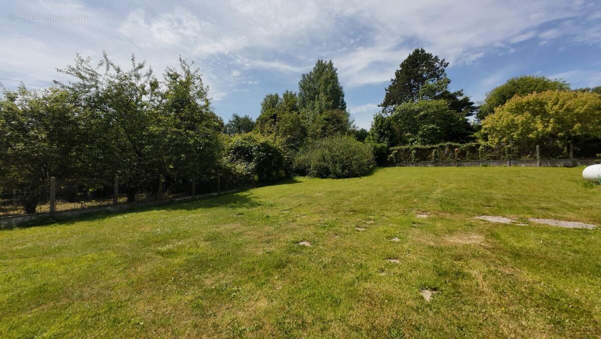 Terrain 630 m2 à vendre Veulettes sur mer - photo 2