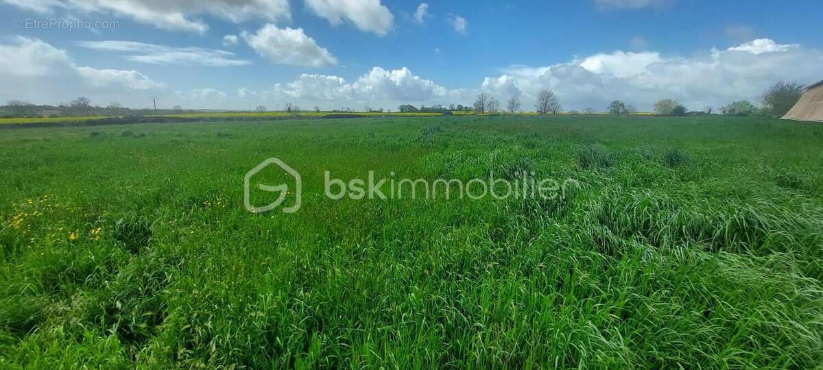 Terrain à bâtir de 4 100 m² - 4 LOGEMENTS minimum – Sainte-Ouenne (79) - photo 6