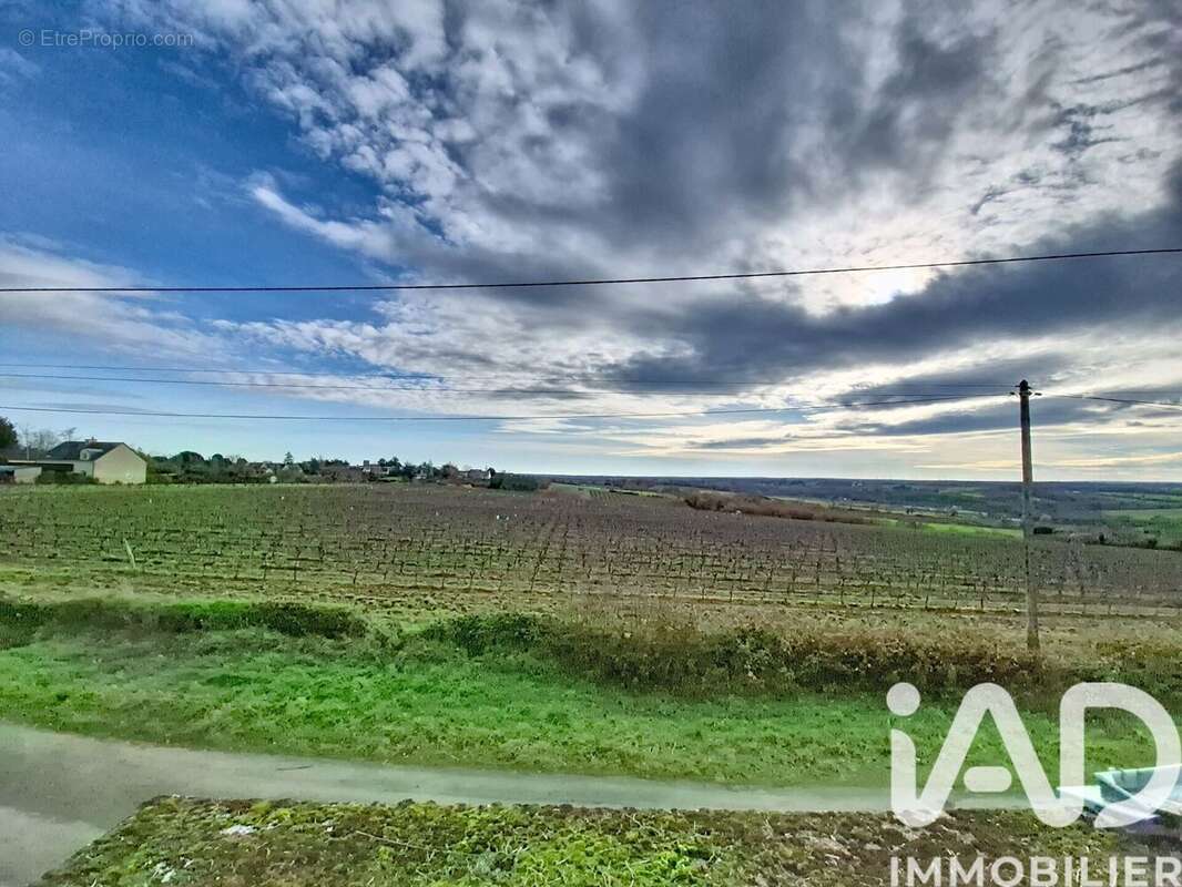 Photo 6 - Maison à BEAULIEU-SUR-LAYON