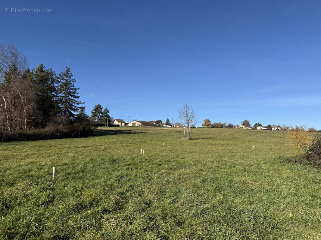 Terrain à PRIMARETTE