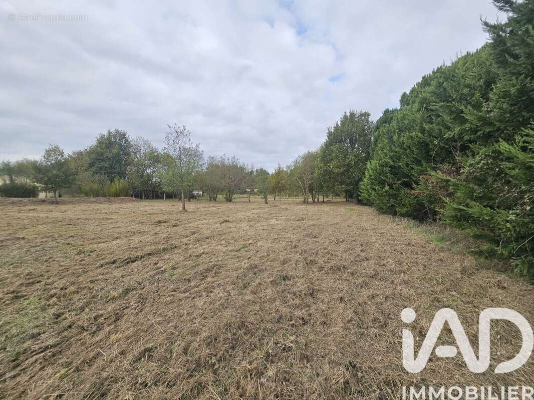 Photo 2 - Terrain à CASTELSARRASIN