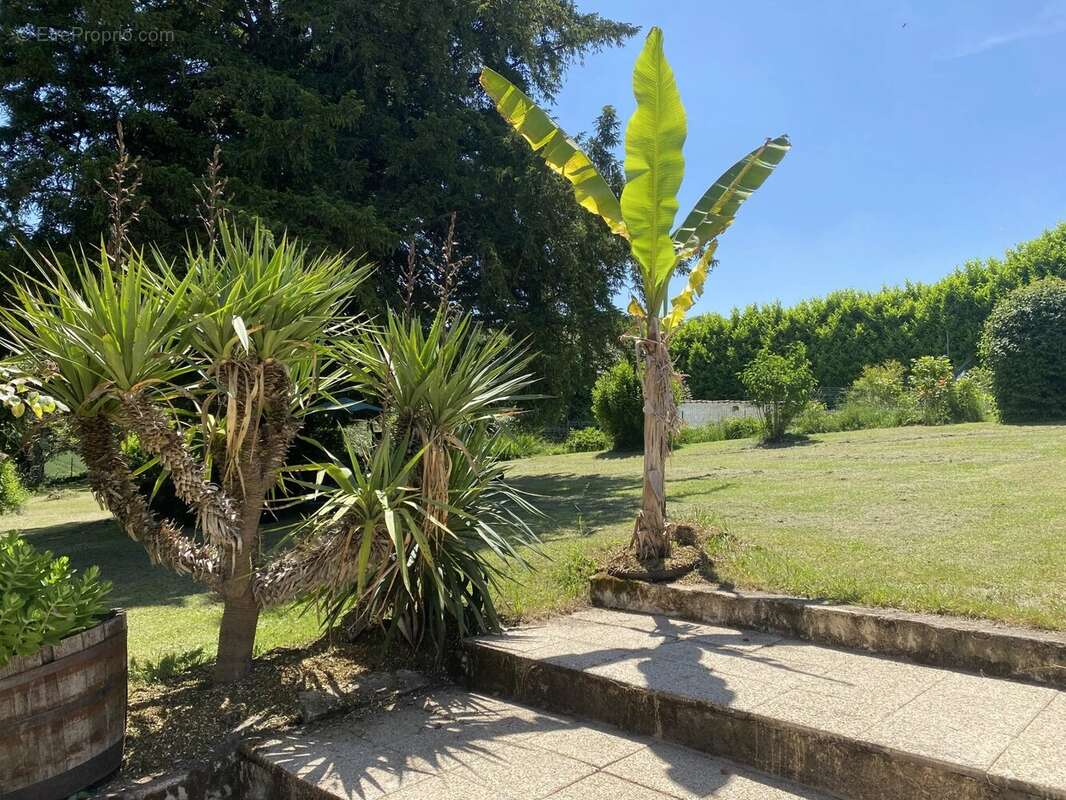 Maison de 3 chambres avec grand jardin et piscine - photo 14