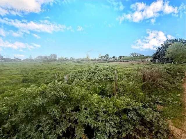 Terrain à LANSARGUES