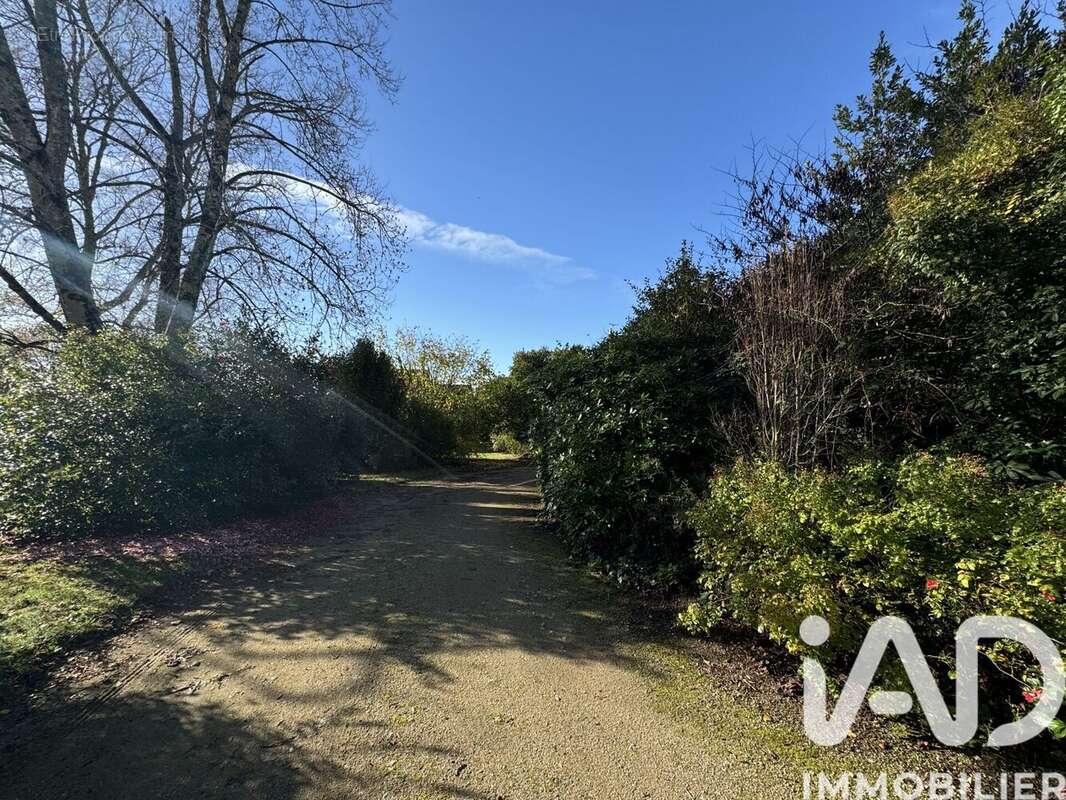 Photo 4 - Terrain à BONO