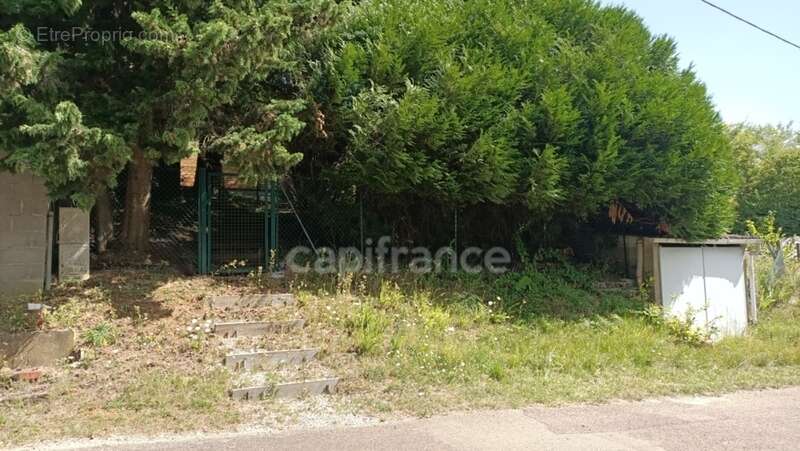 Terrain à vendre  BELLECHAUME (89) - photo 2