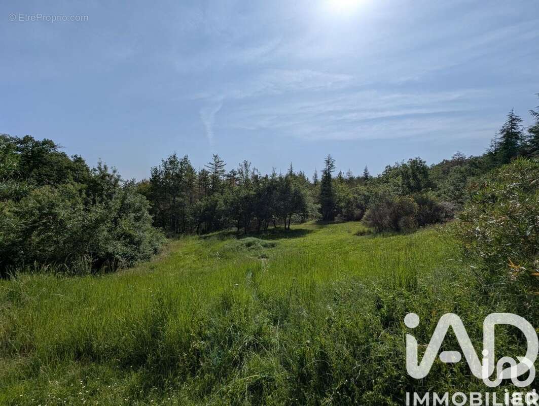 Photo 6 - Maison à CAHUZAC-SUR-VERE