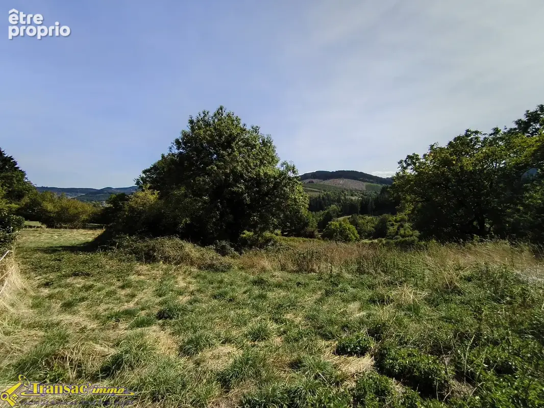 À Chabreloche, terrain constructible de 2707m2 exposé plein Sud. - photo 3