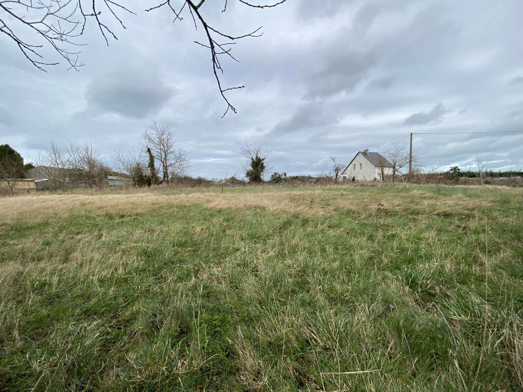 Maison à LONGUES-SUR-MER