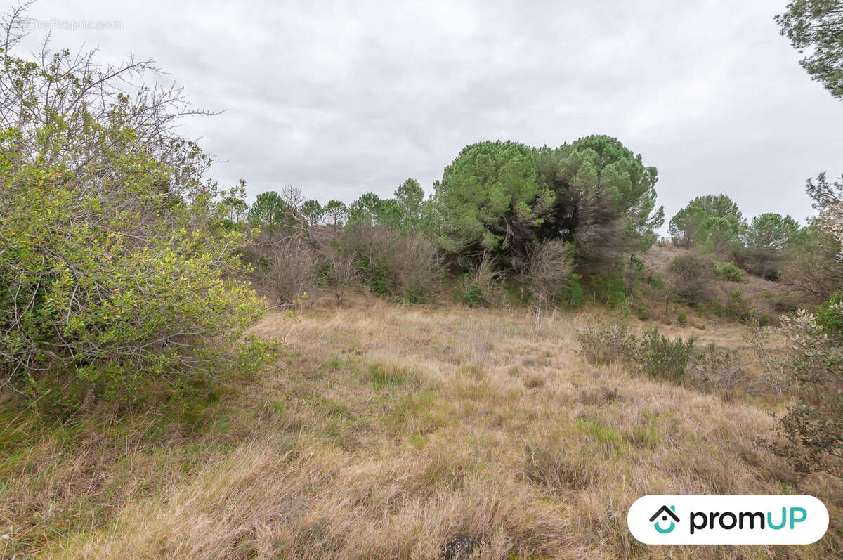 Terrain à LUNEL-VIEL