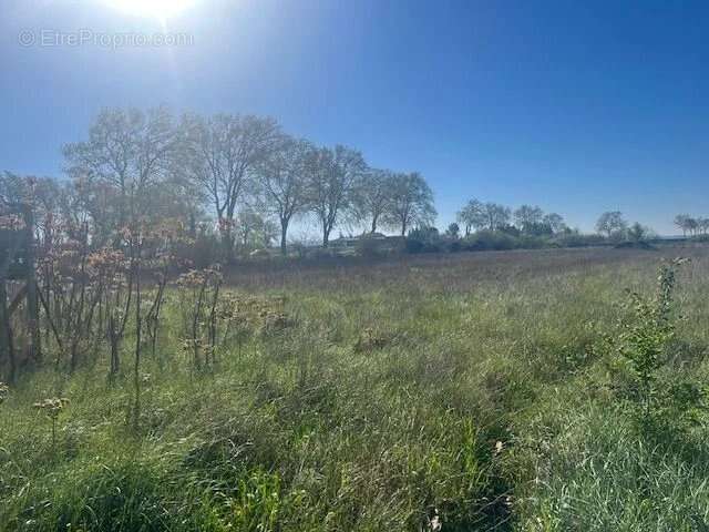 Terrain à CASTILLON-DU-GARD