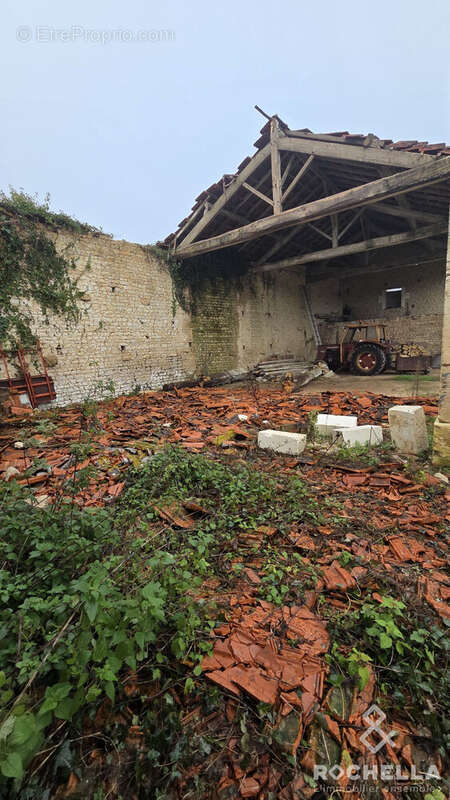 Appartement à PAILLE